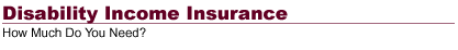 Disability Income Insurance